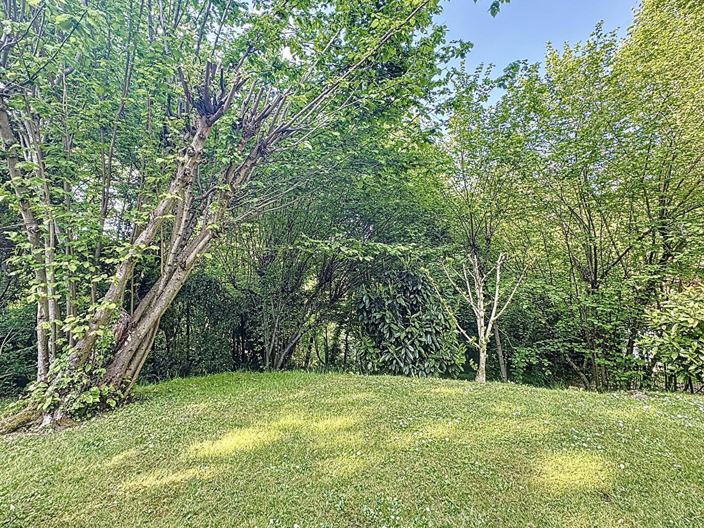 Property view 4